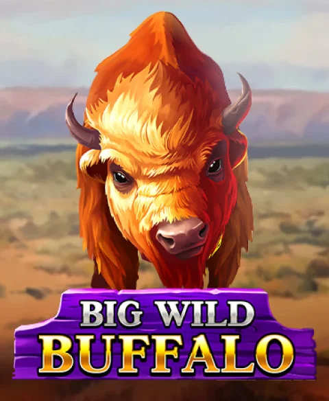 Play Big Wild Buffalo at Caxino Casino